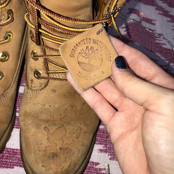 Timberlands - Picture 5 of 7